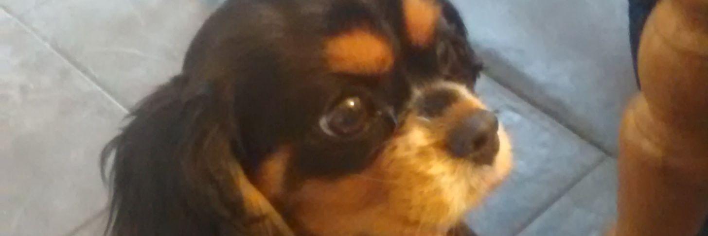 benparmley14's profile banner image