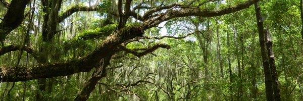 St.Simons Land Trust Profile Banner