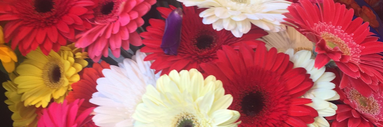 euerazo's profile banner image