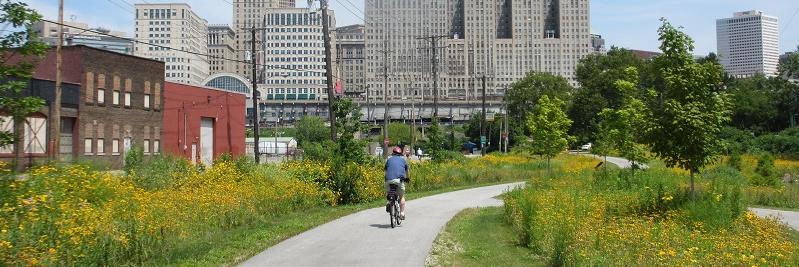 Naturevation Tours banner