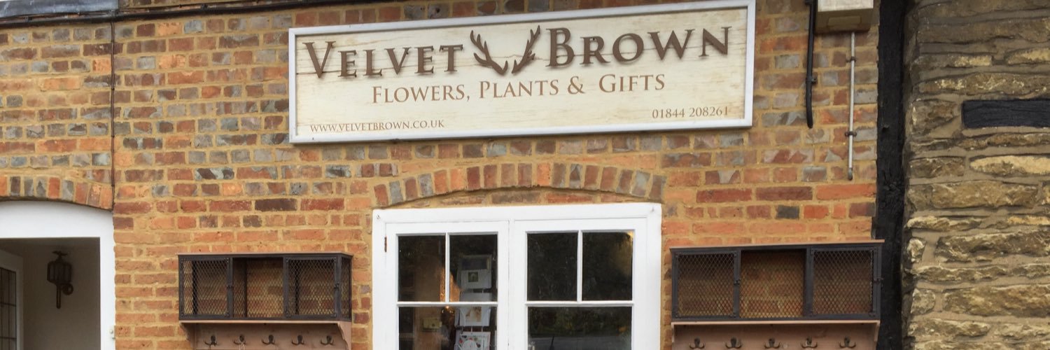 VelvetBrown's profile banner image