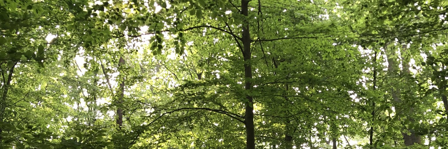 willoxamy's profile banner image