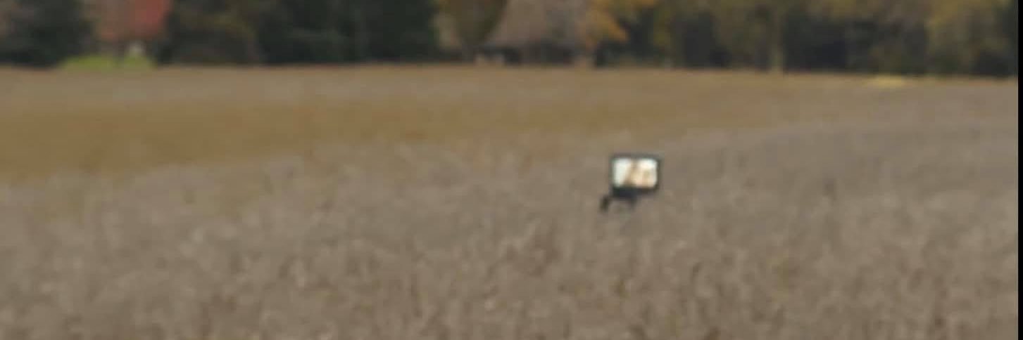 LeonardBarthing's profile banner image