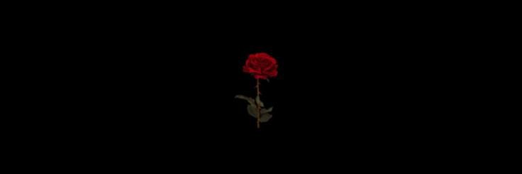 Jweideling's profile banner image