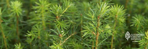 Weyerhaeuser Profile Banner