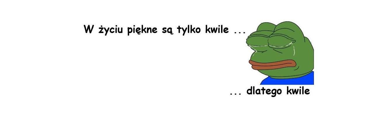 Prostofiliusz's profile banner image