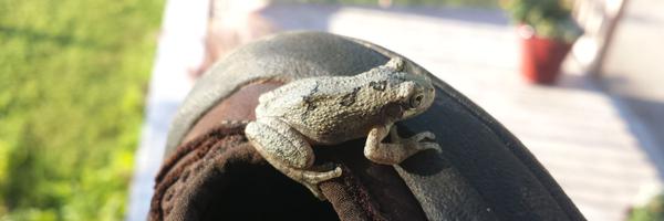 timgels Profile Banner