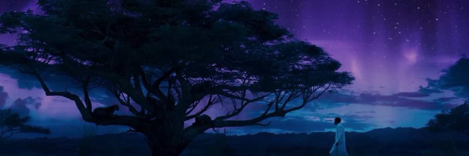 Suk4do's profile banner image