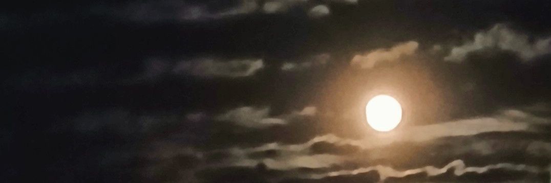 PaleoDom's profile banner image