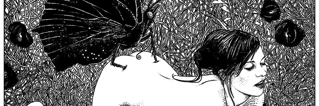 phoebeoflynn's profile banner image