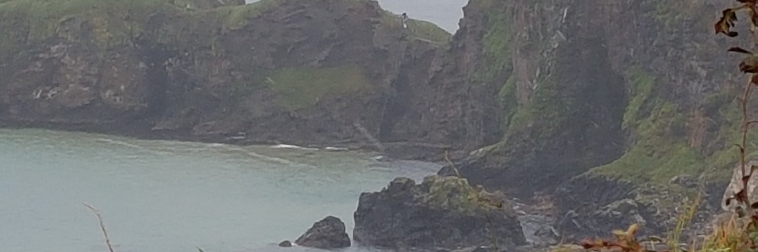 rodgerrabbit73's profile banner image