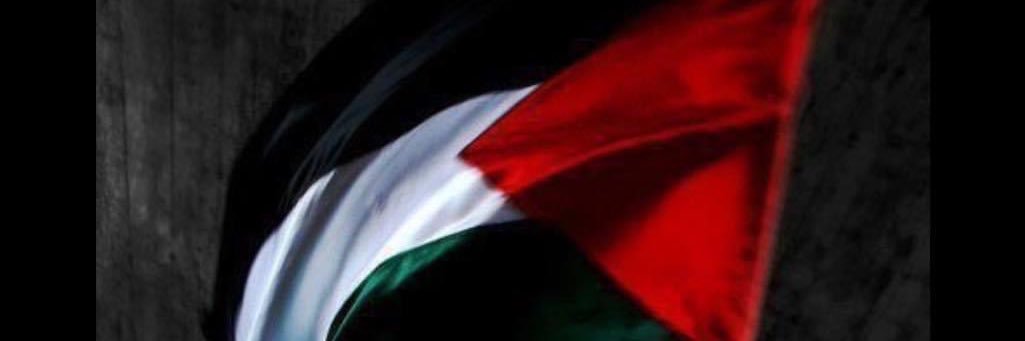 FREEDOMGAZAAA's profile banner image