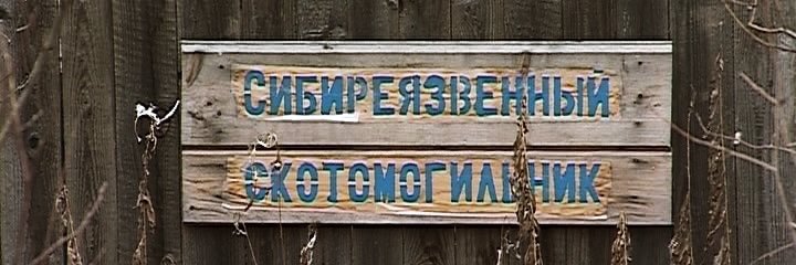 moldofgold's profile banner image