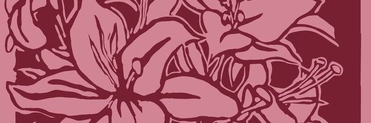 lilybabe3401's profile banner image