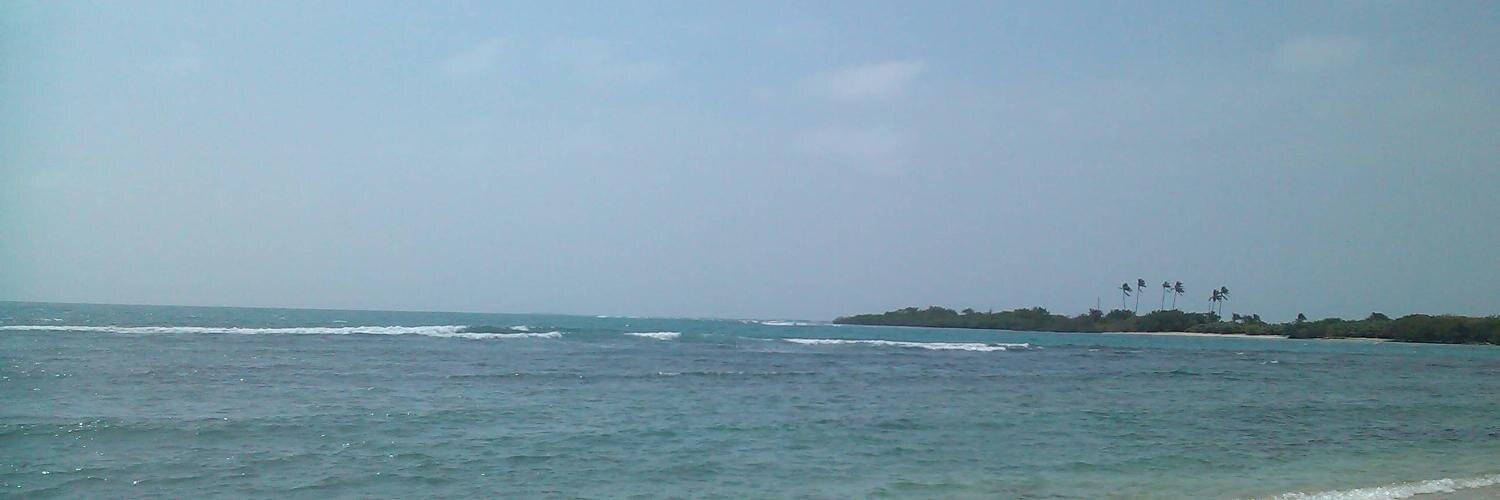 elianapnat's profile banner image