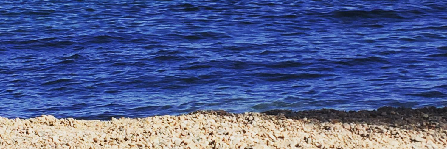 mireiauge's profile banner image