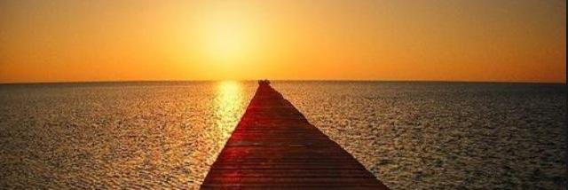 G_Mendonca1's profile banner image