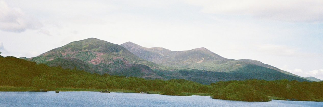 Abigail Stewart banner