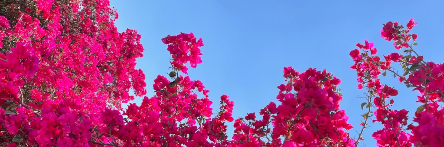 RTzeet's profile banner image