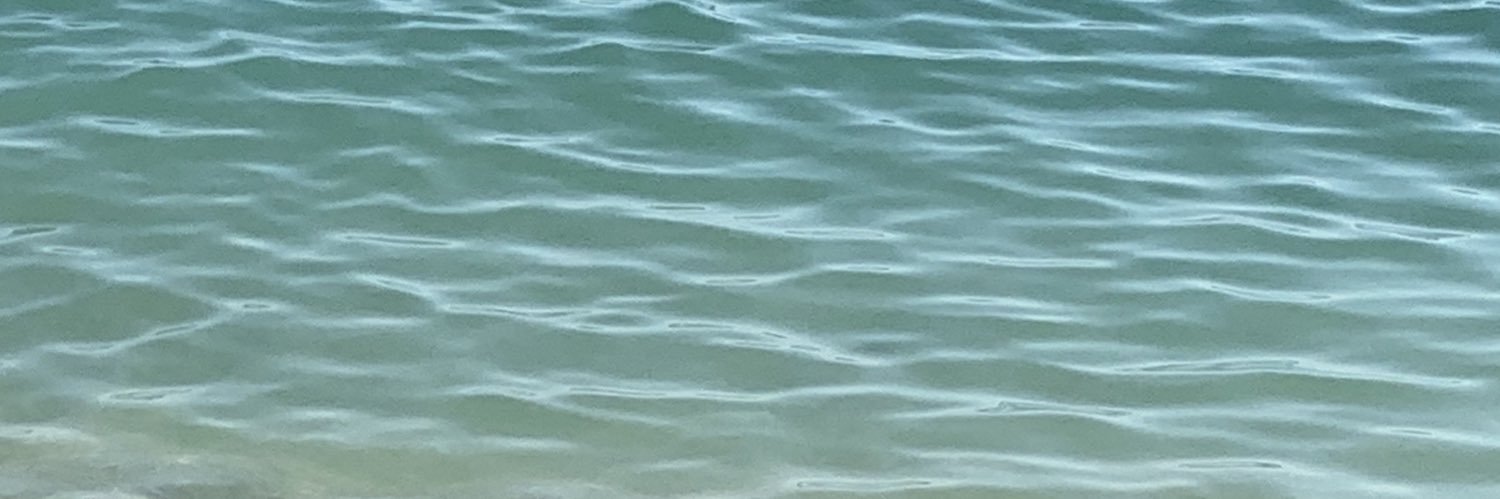 Nelbene's profile banner image