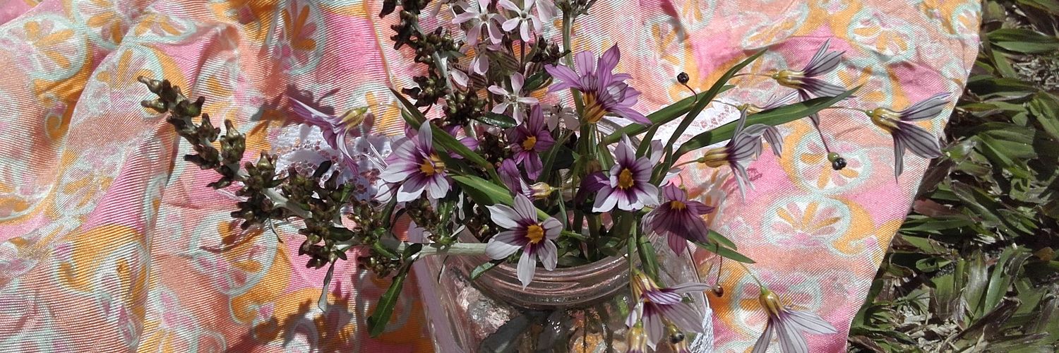 armonia_dulce's profile banner image