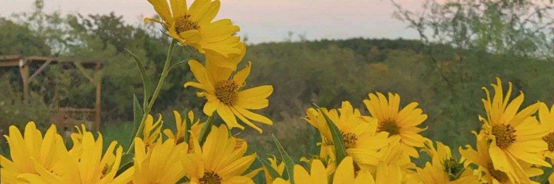 YooooAdrianF's profile banner image
