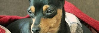 ejdidthis's profile banner image