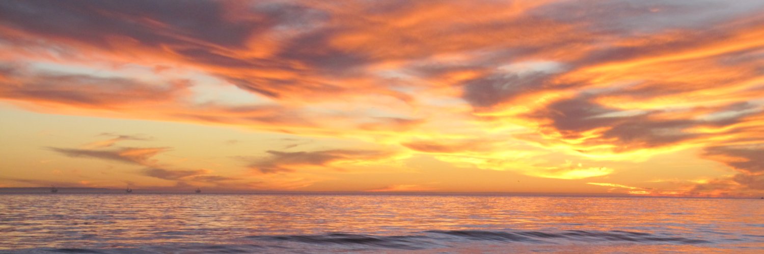 brandywalker's profile banner image