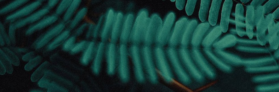 RetwistNeeded's profile banner image
