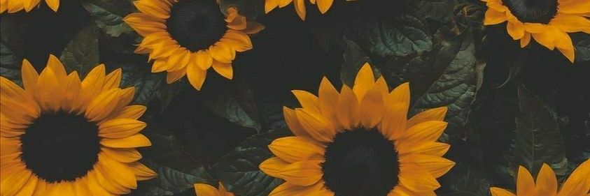 Leire_Wilde's profile banner image