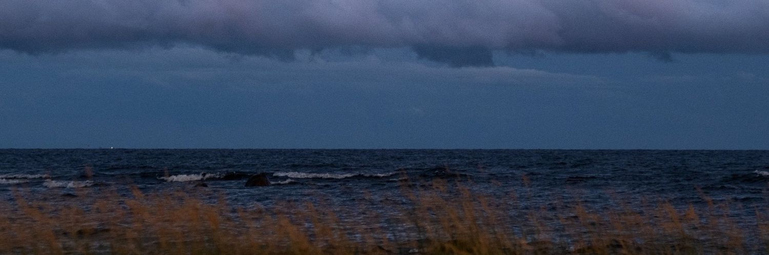 brenbren banner