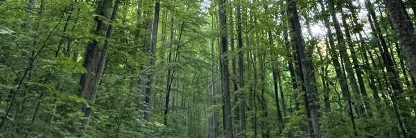 condiaFF Profile Banner