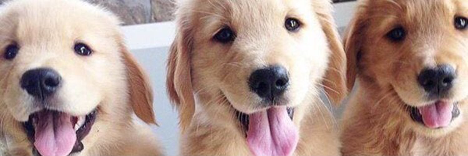 kaitlintuckerr's profile banner image