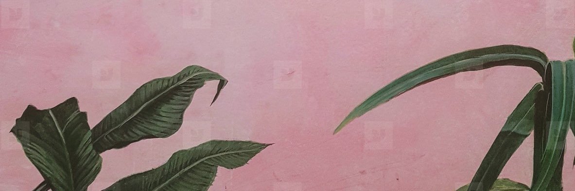 Casiee 🤍 banner