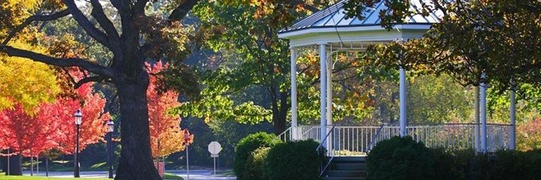 Elizabeth Stauffer banner