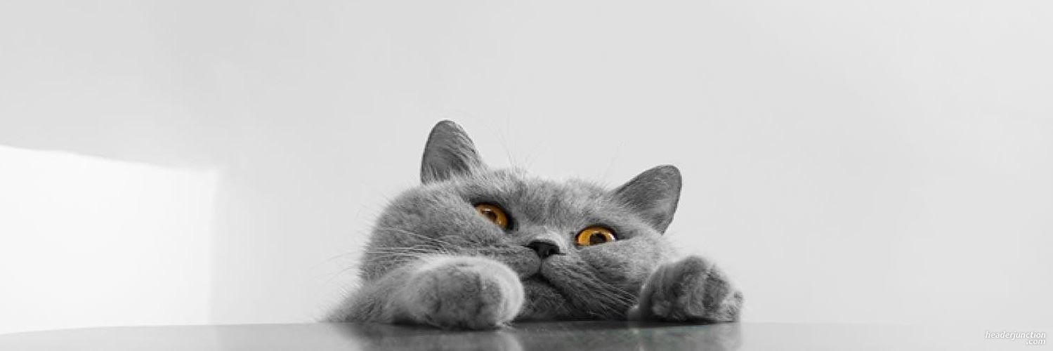 leslie_peytonn's profile banner image