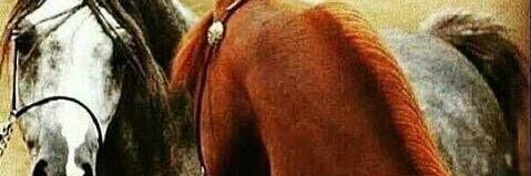 k6868kk's profile banner image