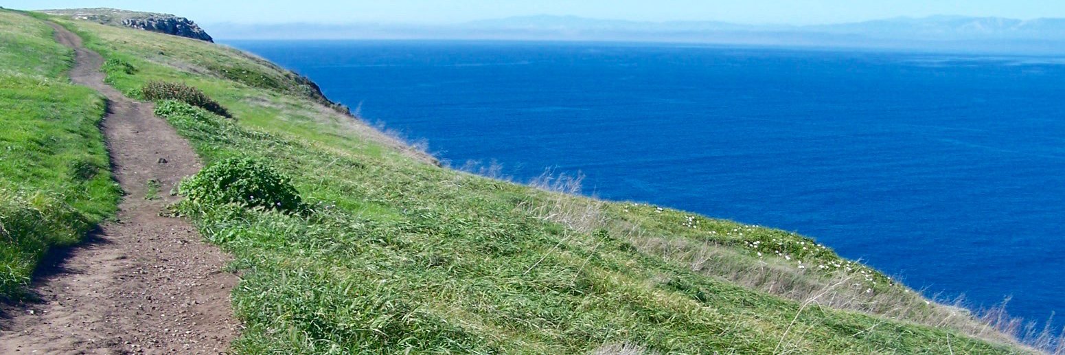 Calicoconino's profile banner image
