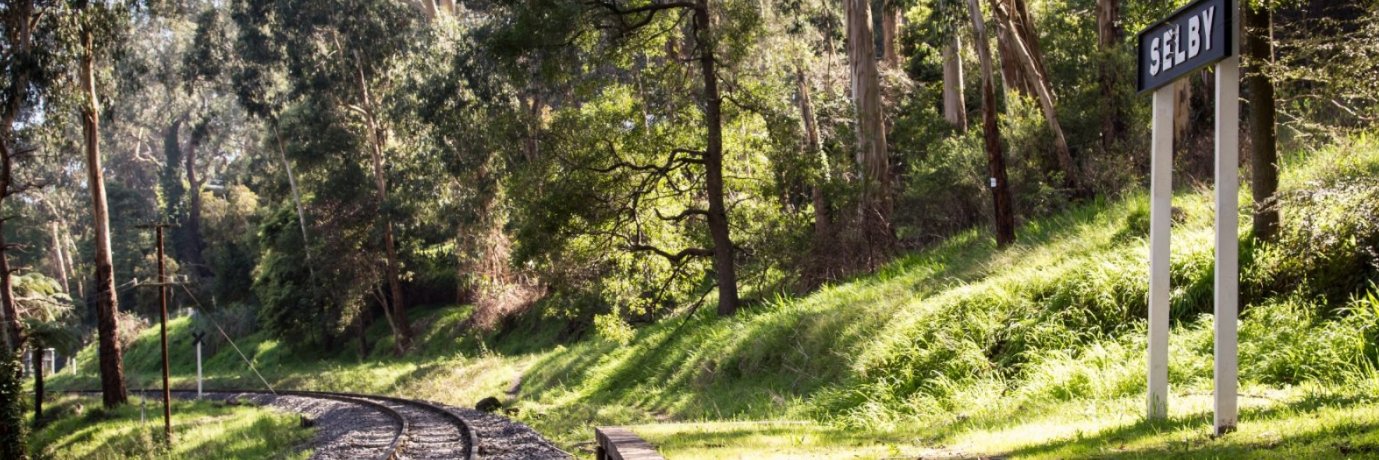 Benjamin Cooke banner