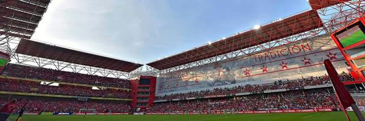 PEREDA banner