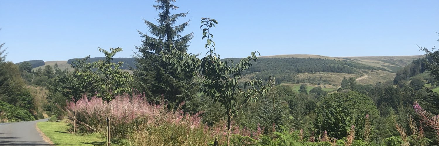 beacons89's profile banner image