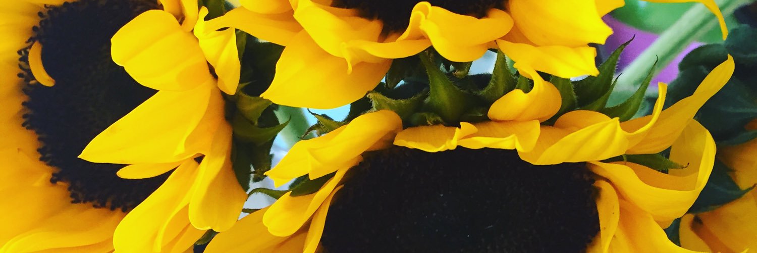 lkell517's profile banner image