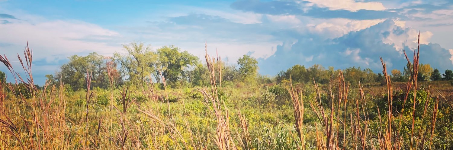 MATitterton's profile banner image