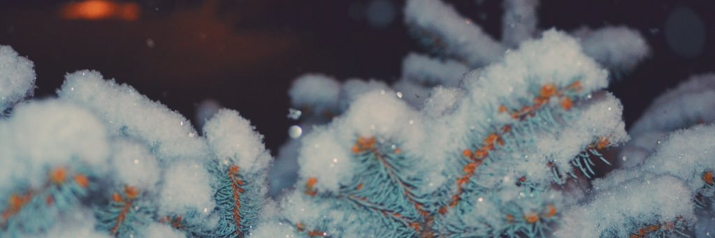 kaileeann_'s profile banner image
