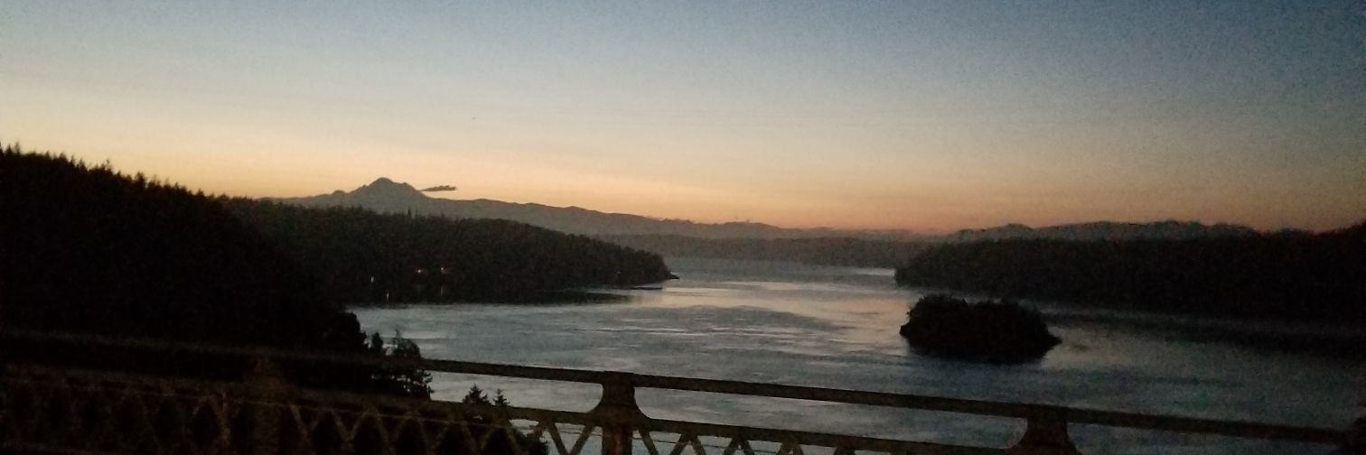seattlested's profile banner image