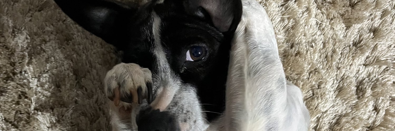 FernandaHthosch's profile banner image
