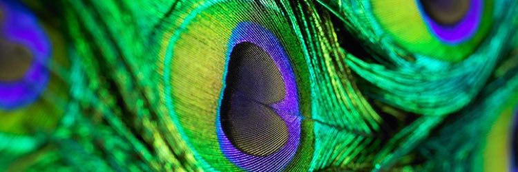 gezme85's profile banner image