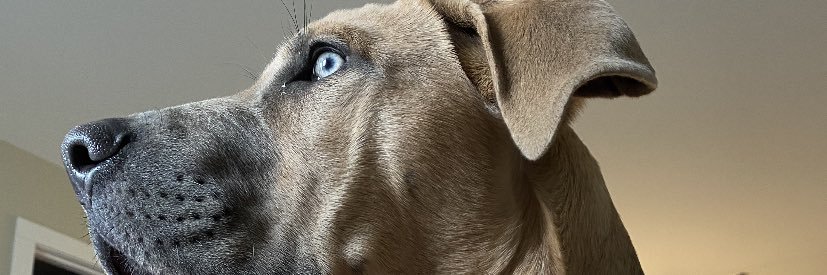 JennyTeather's profile banner image