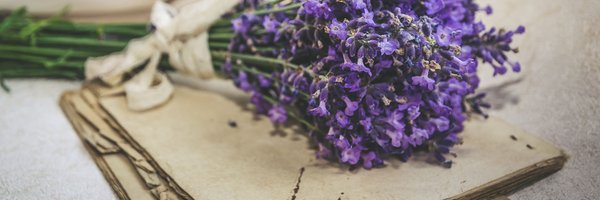 megoswrites Profile Banner