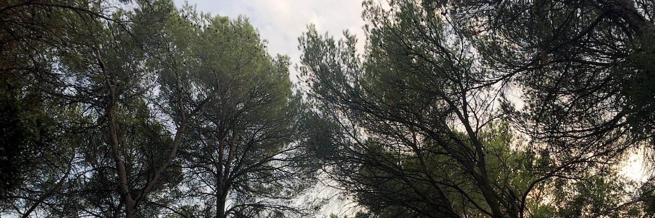 nataliaggg's profile banner image